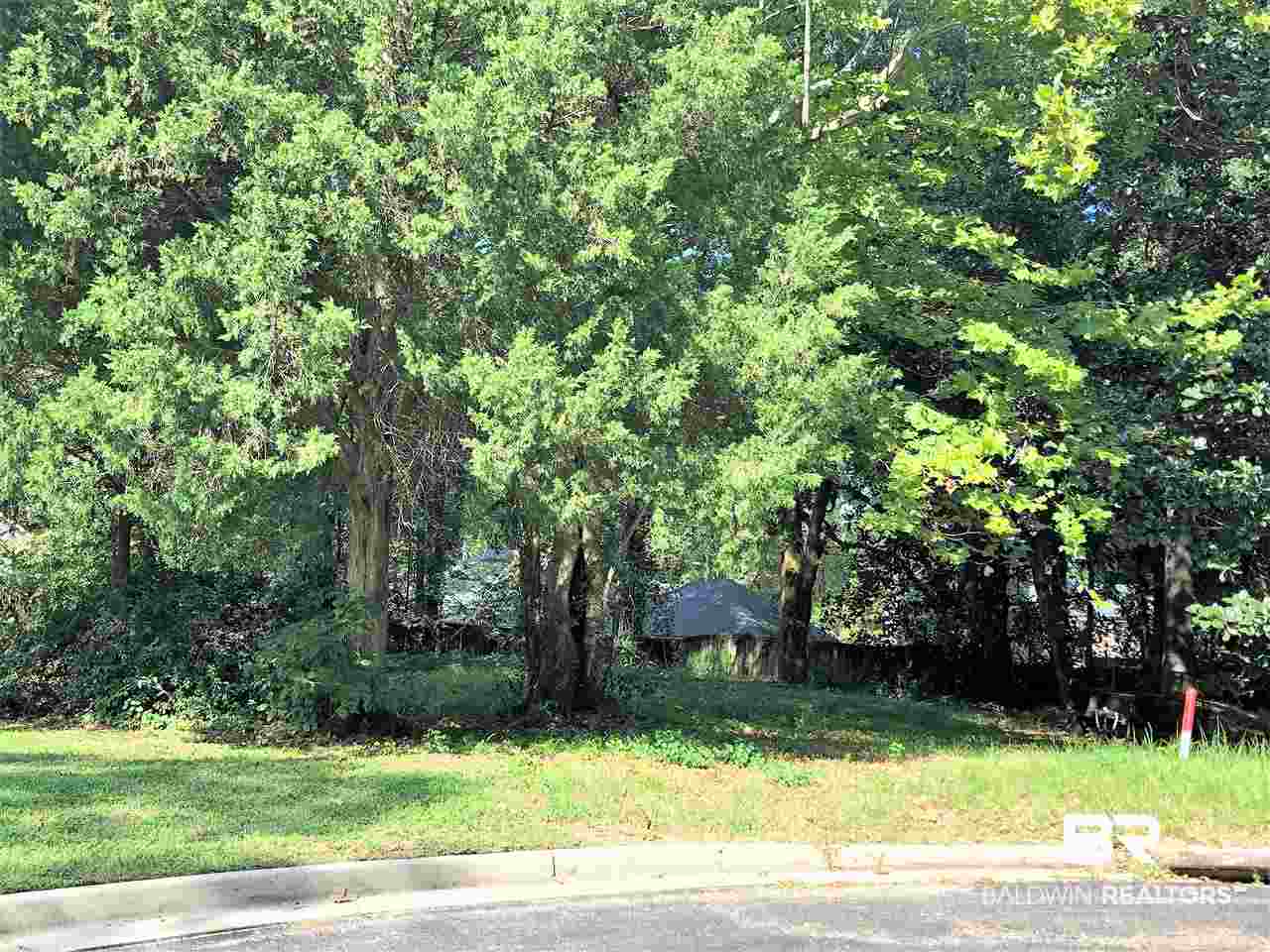 0 Country Club Road Mobile, AL 36609 - Photo 3 of 5