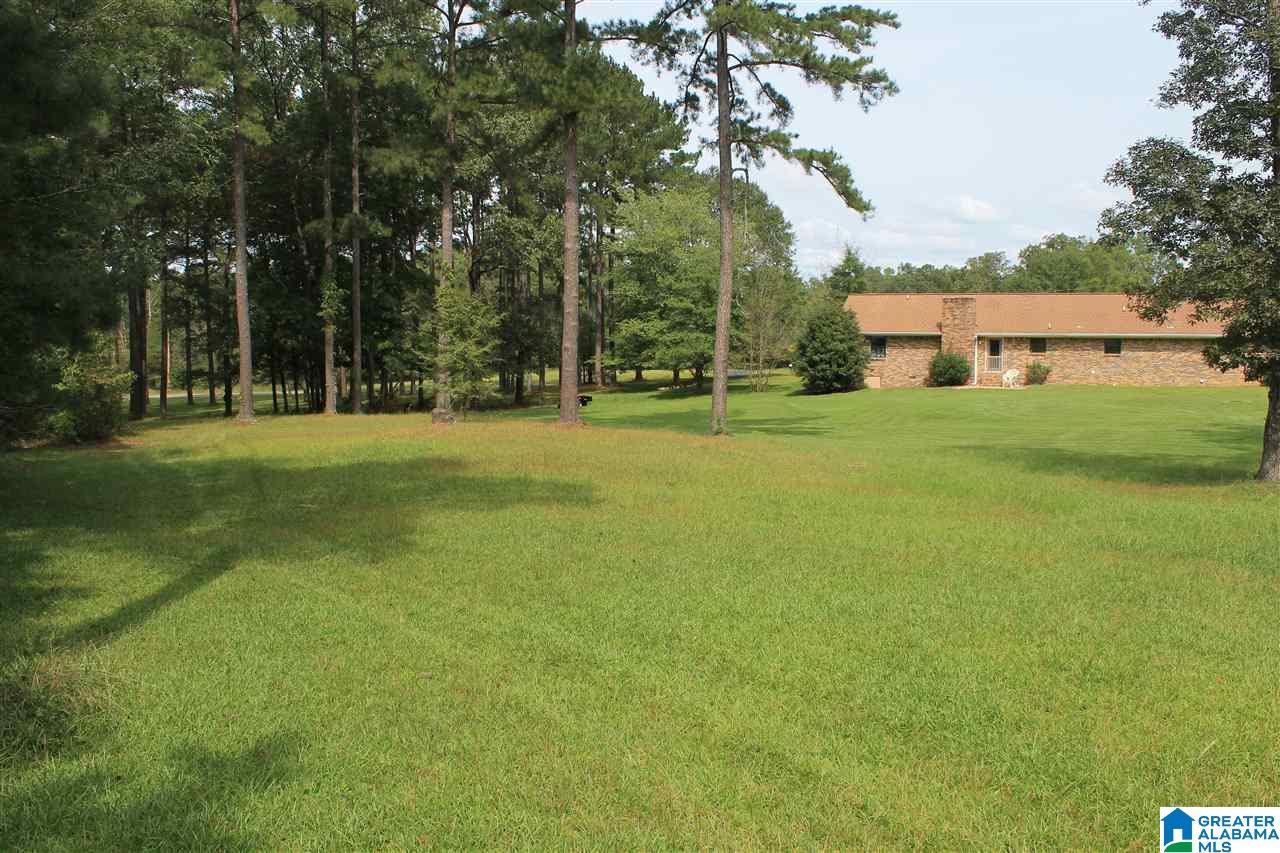 412 Lovejoy Road Ashville, AL 35953 - Photo 22 of 23