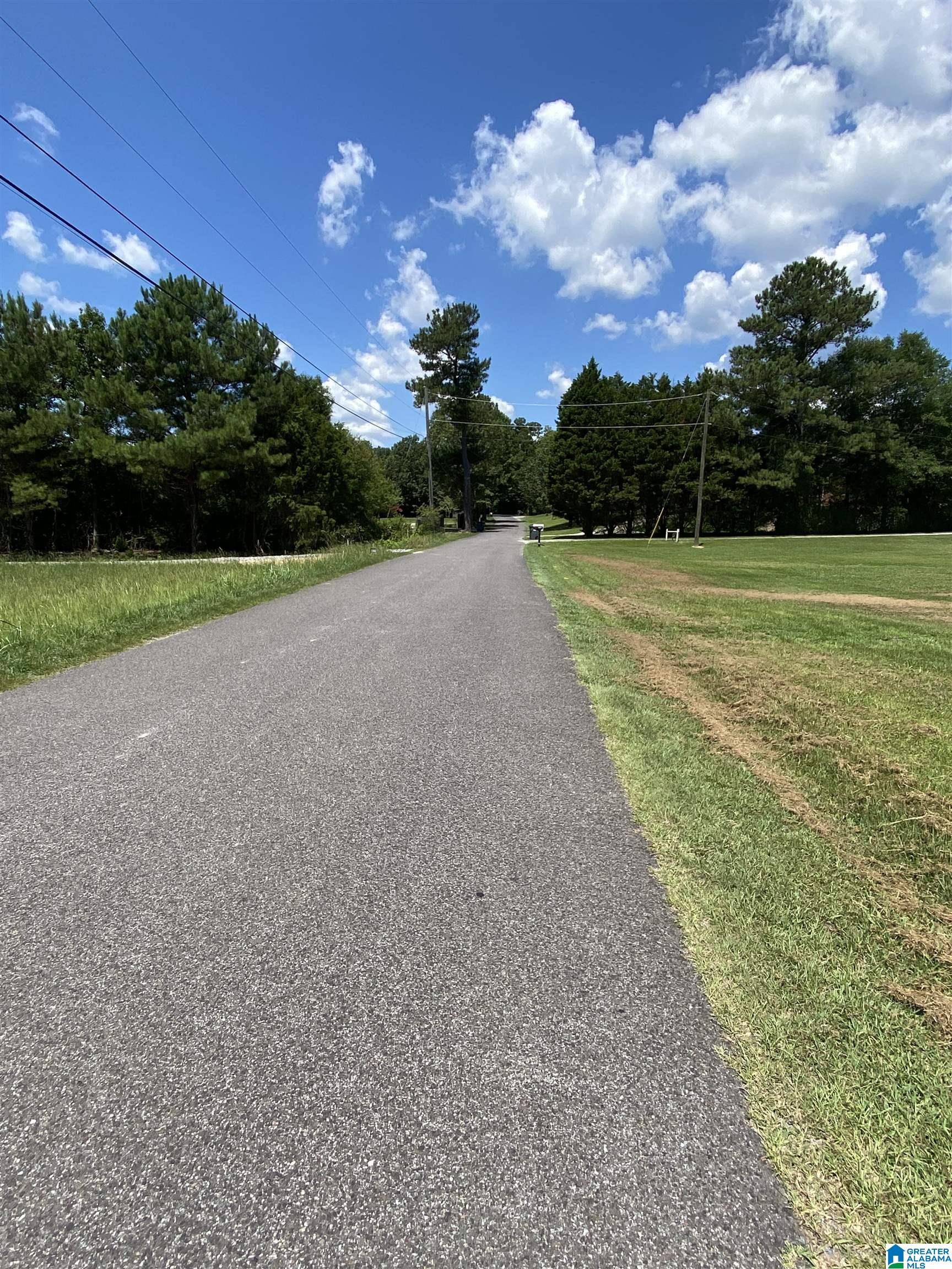 0 Myers Road Odenville, AL 35120 - Photo 5 of 7