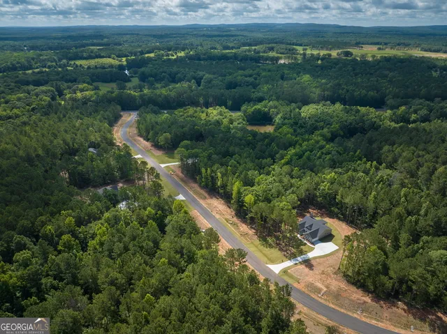 a view of a lush green forest