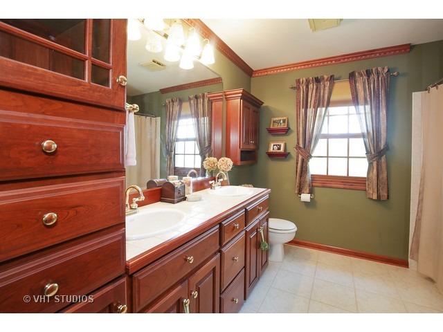 9N100 Percy Road Maple Park, IL 60151 - Photo 8 of 10 a bathroom with a sink a mirror and a toilet