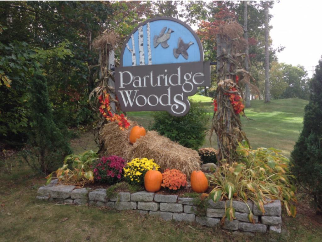 13 Partridge Woods Road, Unit 13 Bartlett, NH 03838 - Photo 14 of 29 Gallery Image 14