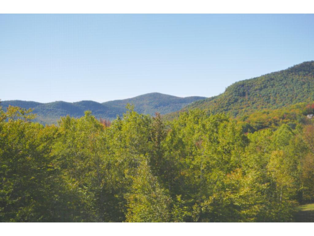 13 Partridge Woods Road, Unit 13 Bartlett, NH 03838 - Photo 15 of 29 Gallery Image 15