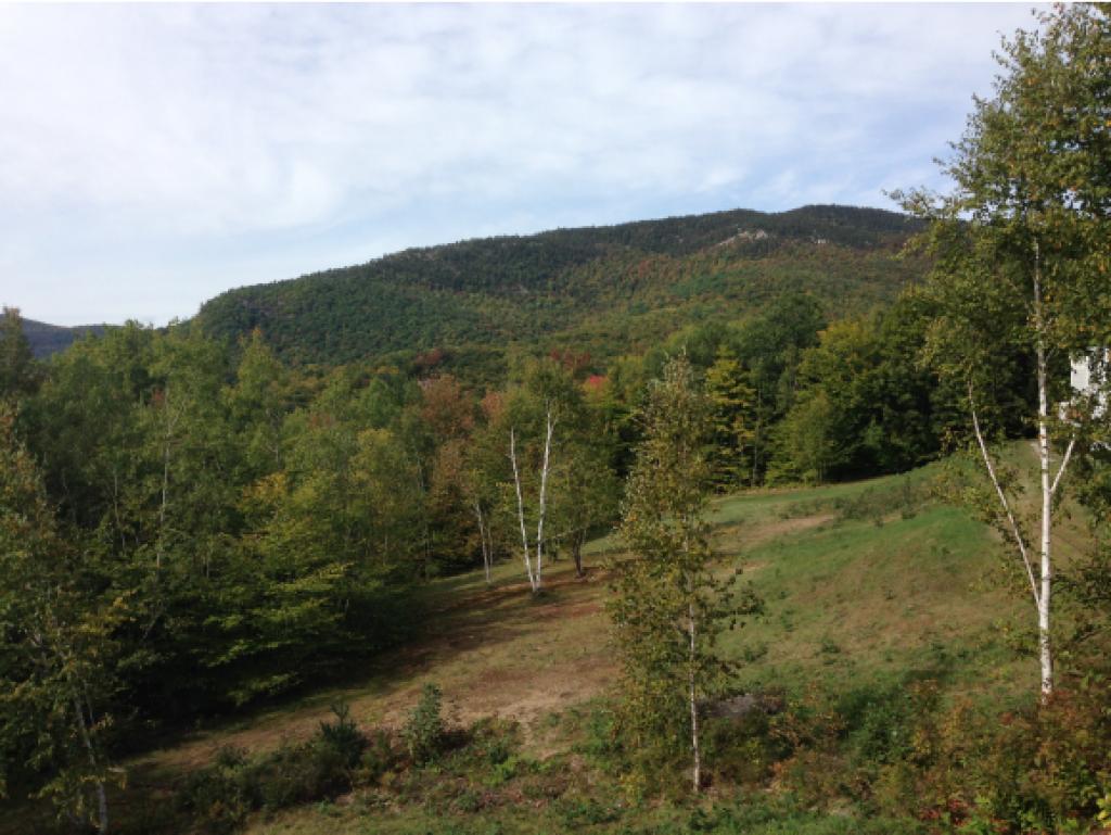 13 Partridge Woods Road, Unit 13 Bartlett, NH 03838 - Photo 17 of 29 Gallery Image 17