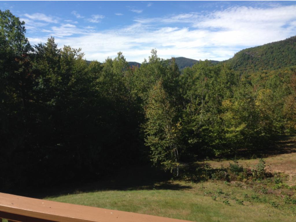 13 Partridge Woods Road, Unit 13 Bartlett, NH 03838 - Photo 18 of 29 Gallery Image 18