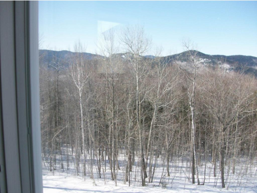 13 Partridge Woods Road, Unit 13 Bartlett, NH 03838 - Photo 19 of 29 Gallery Image 19