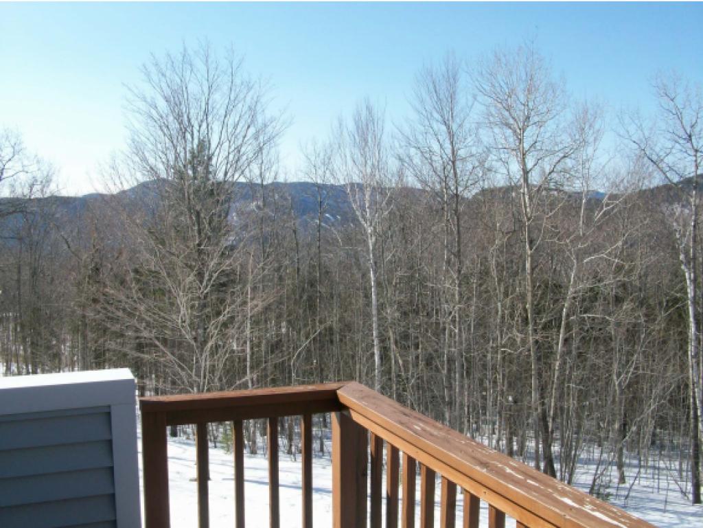 13 Partridge Woods Road, Unit 13 Bartlett, NH 03838 - Photo 23 of 29 Gallery Image 23