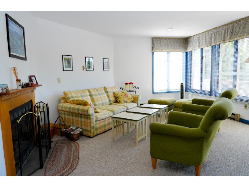13 Partridge Woods Road, Unit 13 Bartlett, NH 03838 - Photo 10 of 29 Gallery Image 10