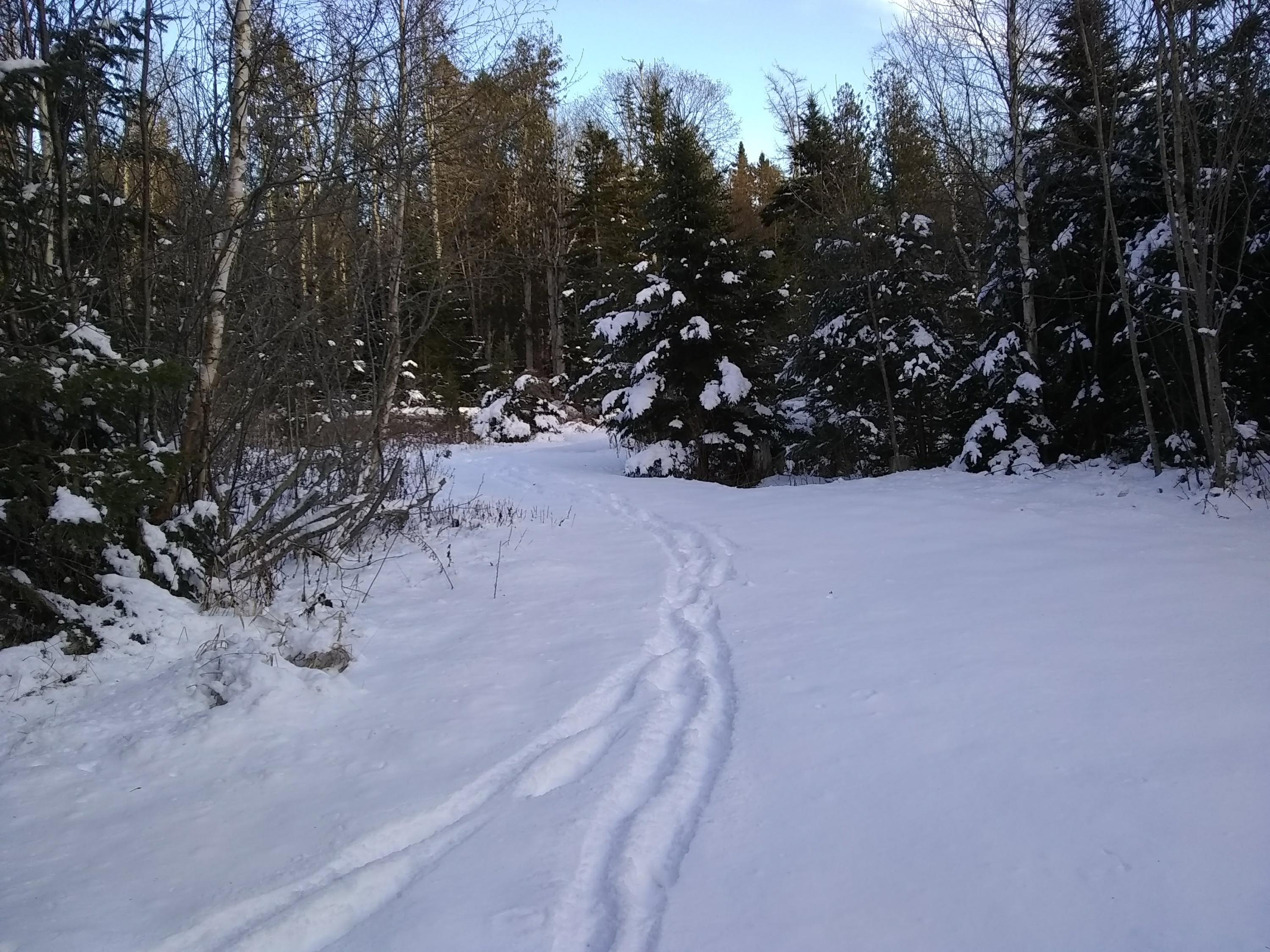 Map 1-lot Map 1-lot Boot Cove Road Lubec, ME 04652 - Photo 2 of 7 Clearing