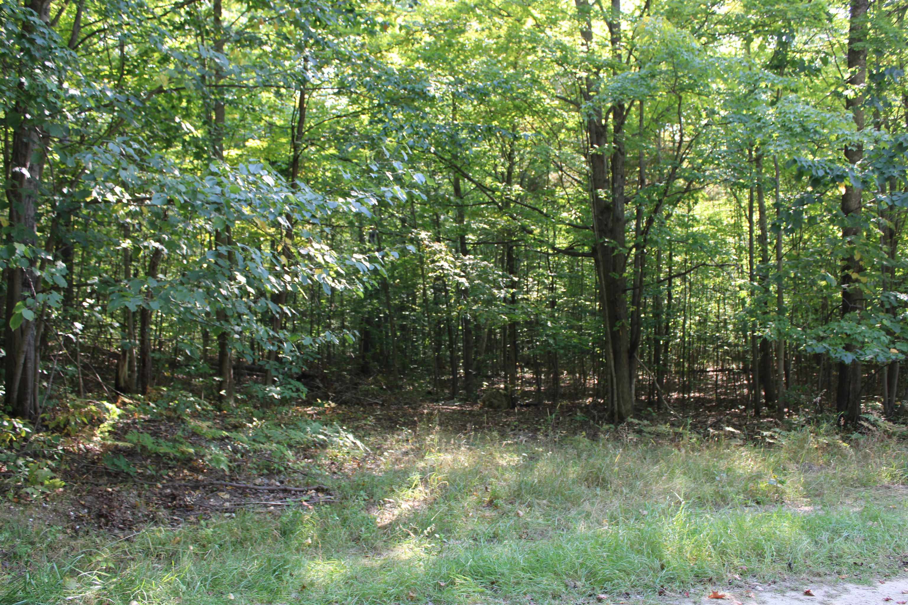 Sunburry Road Kalkaska, MI 49646 - Photo 3 of 19 Gallery Image 3