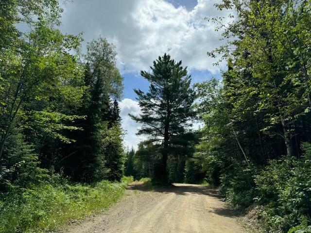 Lot #3 Pleine Road St. Agatha, ME 04772 - Photo 16 of 32