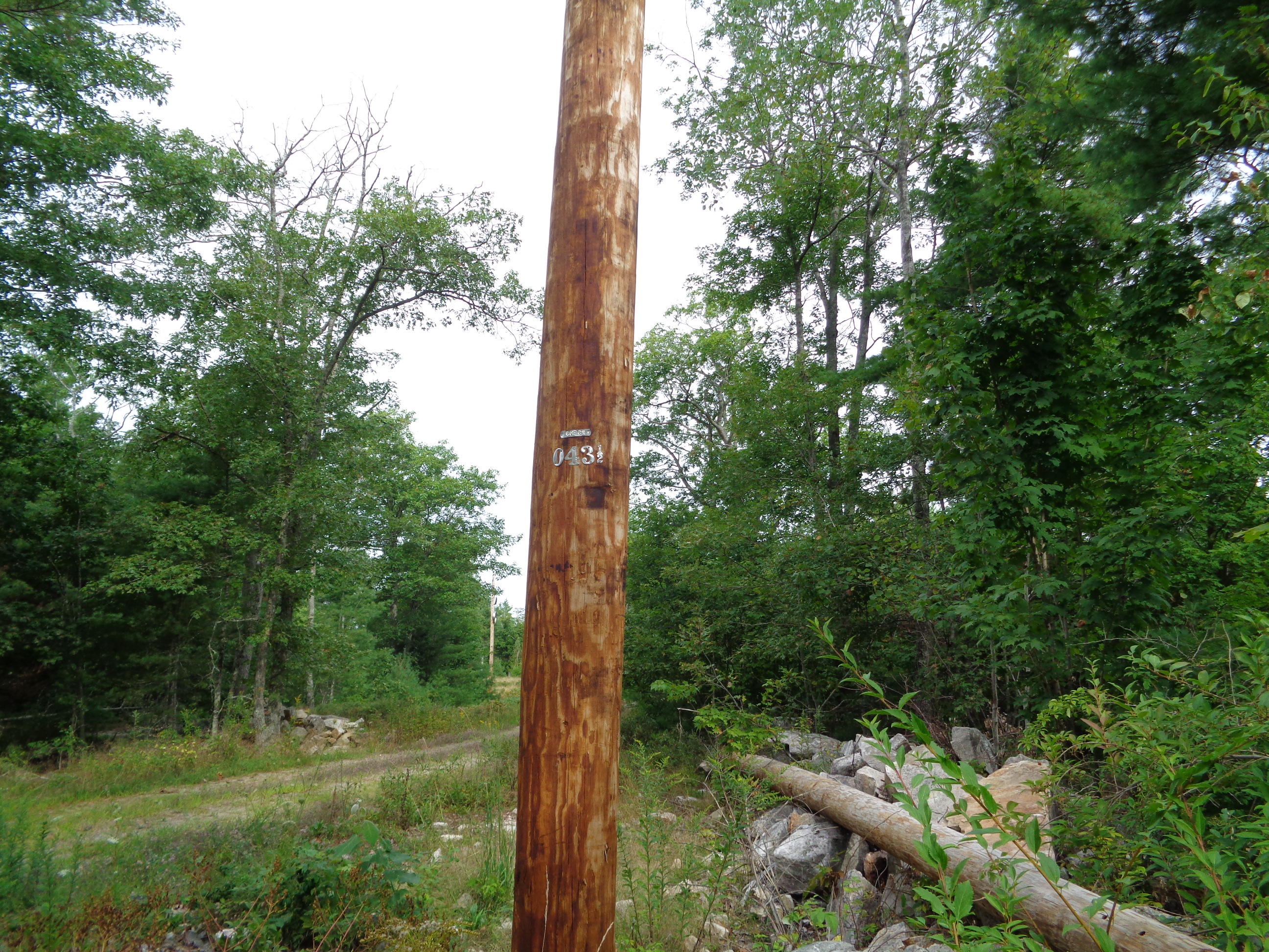 0 Hockomock Road Woolwich, ME 04579 - Photo 3 of 19 power pole and driveway
