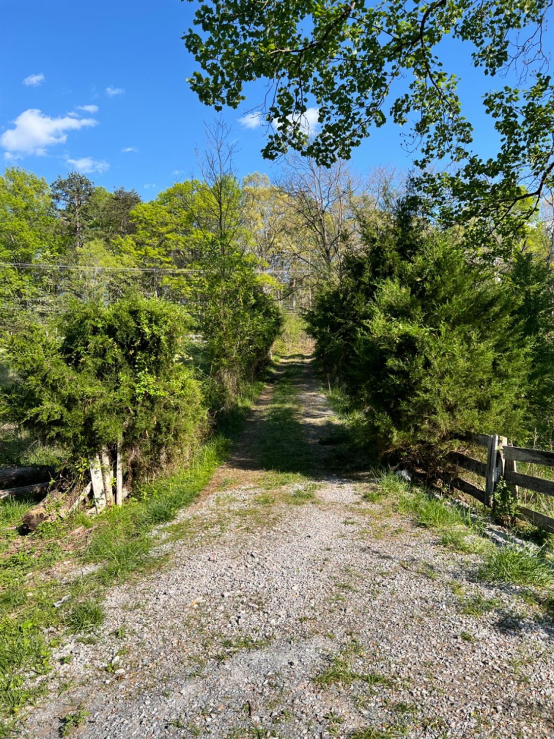 815 Riverbend Road Altavista, VA 24517 - Photo 3 of 5 Gallery Image 3