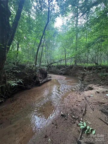 a view of a forest filled with trees