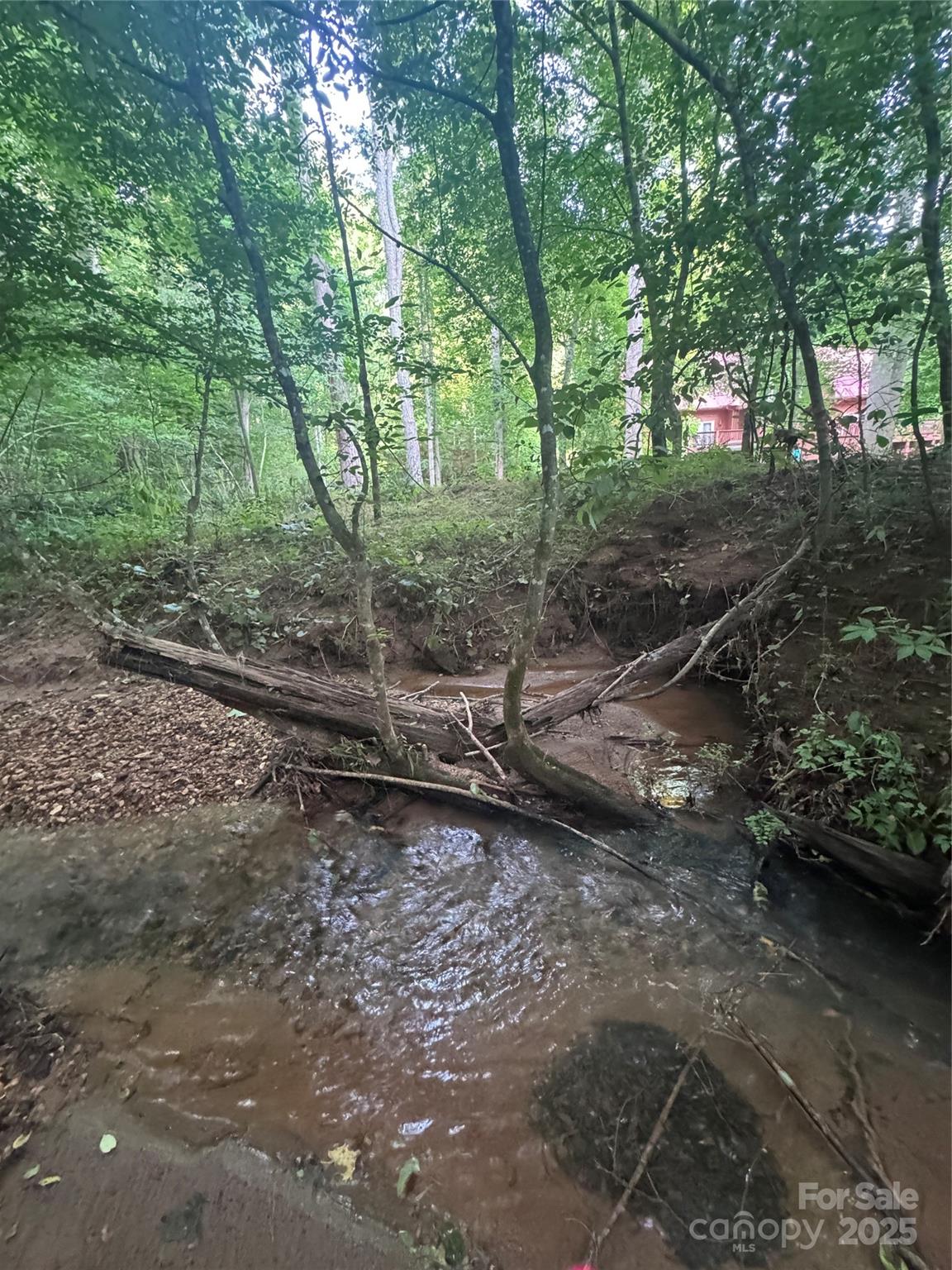 0 Clearwater Parkway, Unit 203 Rutherfordton, NC 28139 - Photo 12 of 27 a backyard of a house with lots of green space