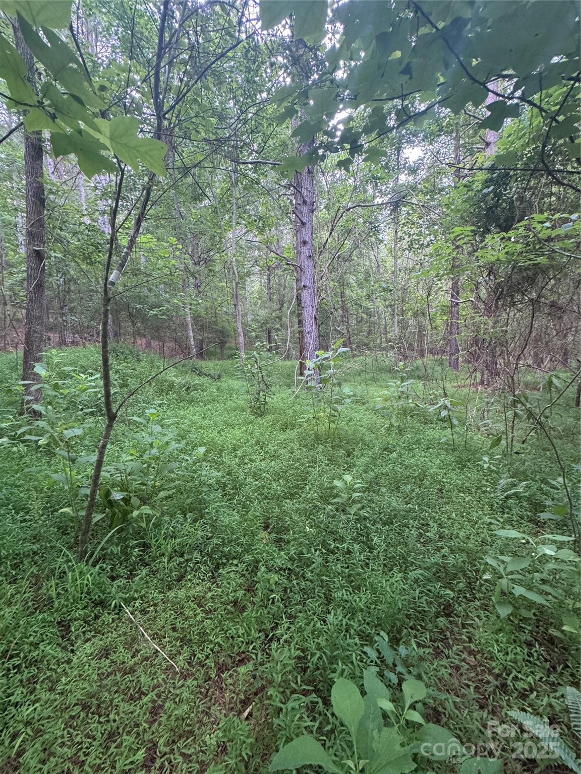 0 Clearwater Parkway, Unit 203 Rutherfordton, NC 28139 - Photo 15 of 27 a view of a lush green space