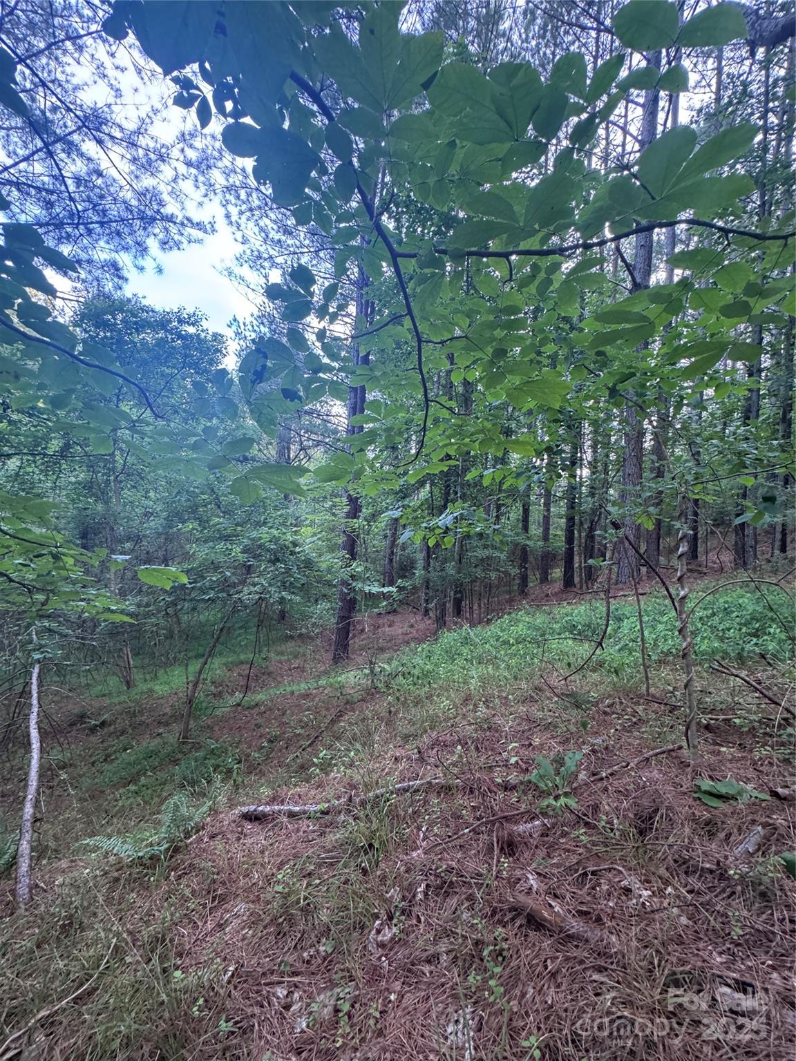 0 Clearwater Parkway, Unit 203 Rutherfordton, NC 28139 - Photo 21 of 27 a view of a yard with lots of green space