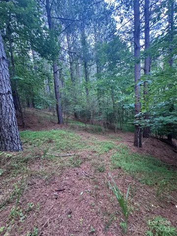 a view of a backyard with trees
