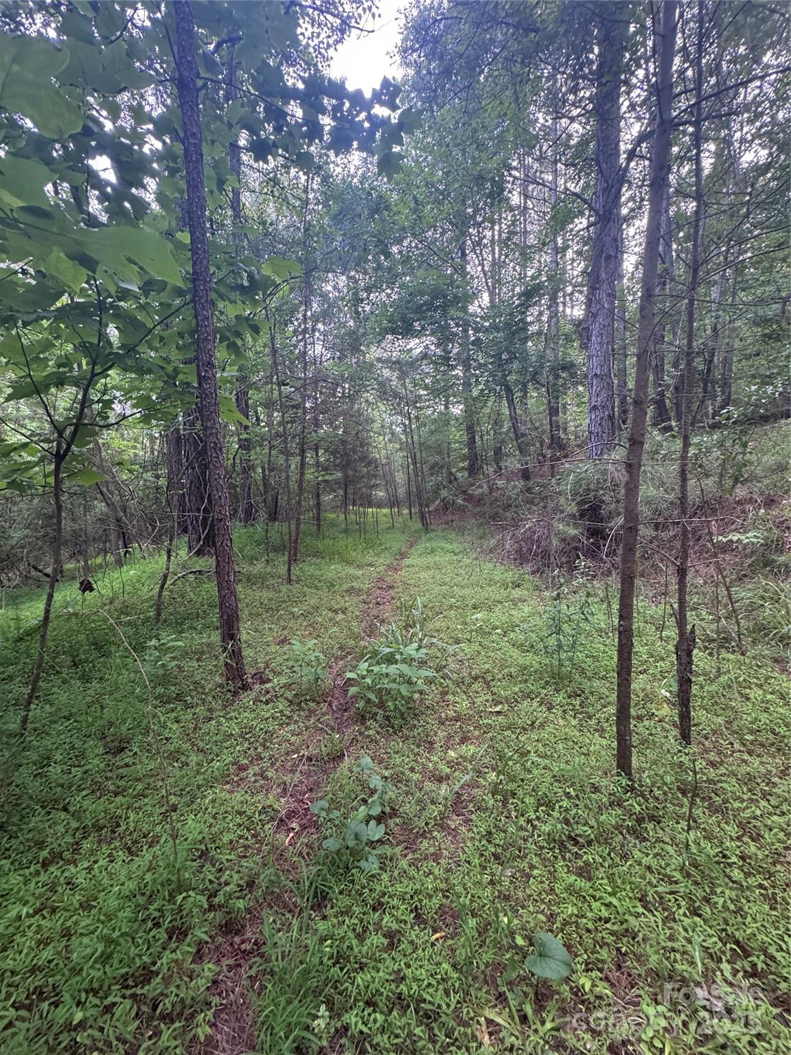 0 Clearwater Parkway, Unit 203 Rutherfordton, NC 28139 - Photo 6 of 27 a view of outdoor space and green space
