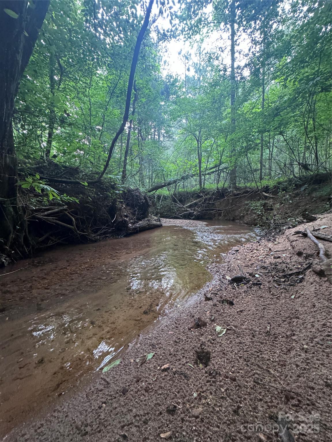 0 Clearwater Parkway, Unit 203 Rutherfordton, NC 28139 - Photo 8 of 27 a view of a backyard with trees