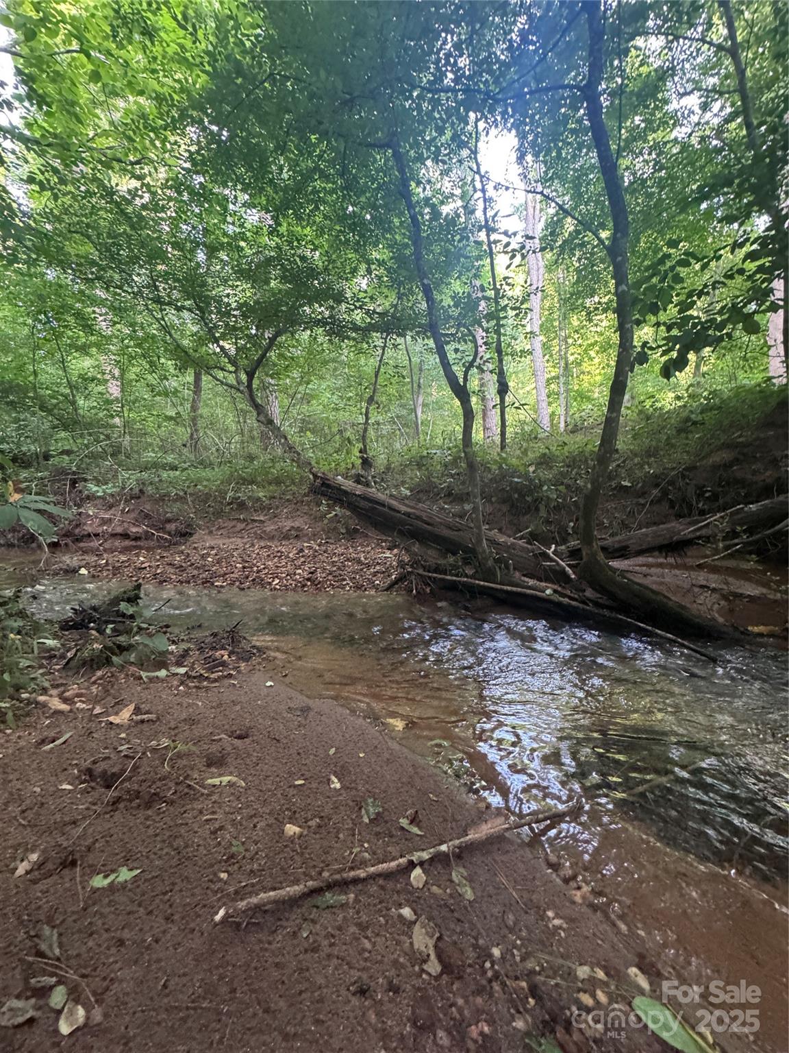 0 Clearwater Parkway, Unit 203 Rutherfordton, NC 28139 - Photo 10 of 27 a view of a forest filled with trees