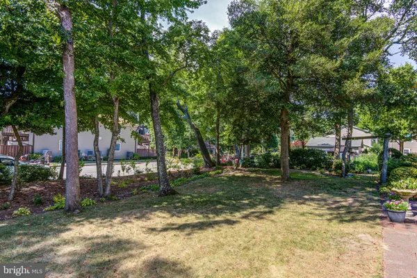 a view of a park with a bench and trees
