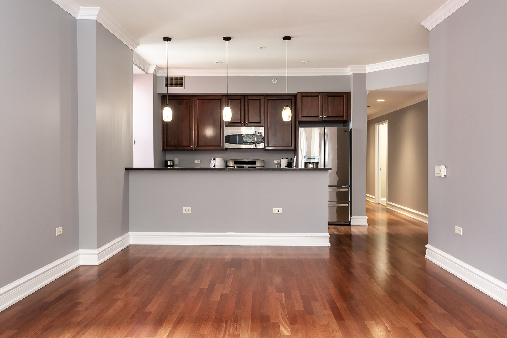 310 South Michigan Avenue, Unit 1908 Chicago, IL 60604 - Photo 3 of 15