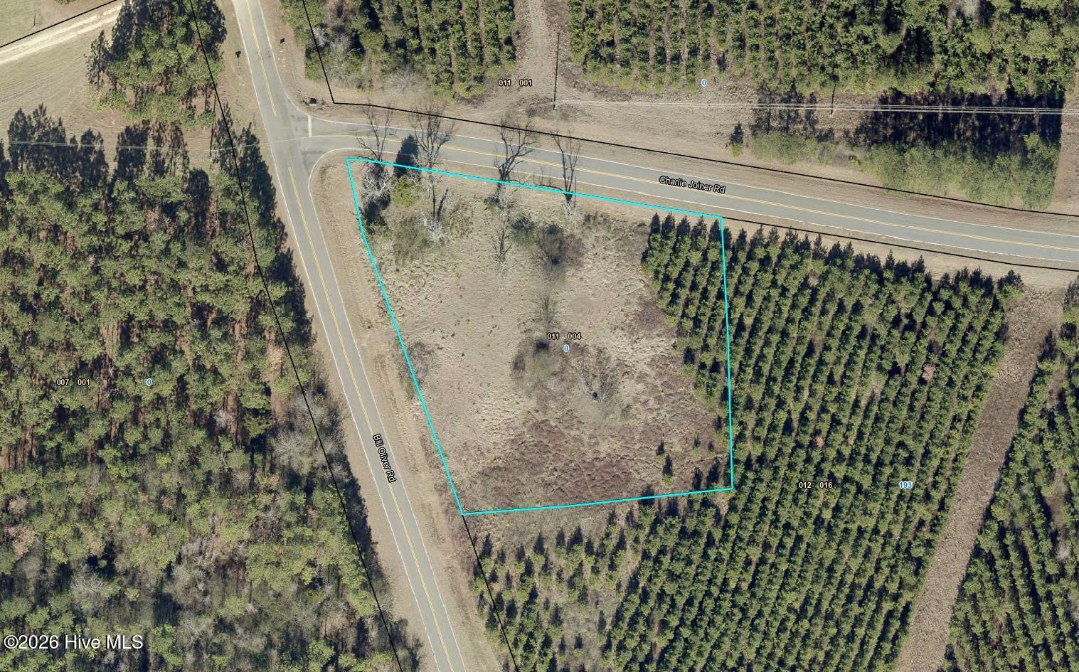 N/a Bill Oliver Road Tennille, GA 31089 - Photo 2 of 4
