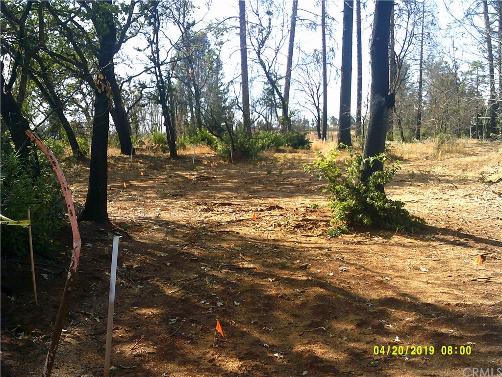 3741 Neal Road Paradise, CA 95969 - Photo 1 of 1