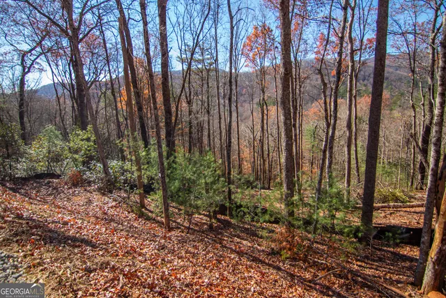 a backyard of a house with lots of green space and chair