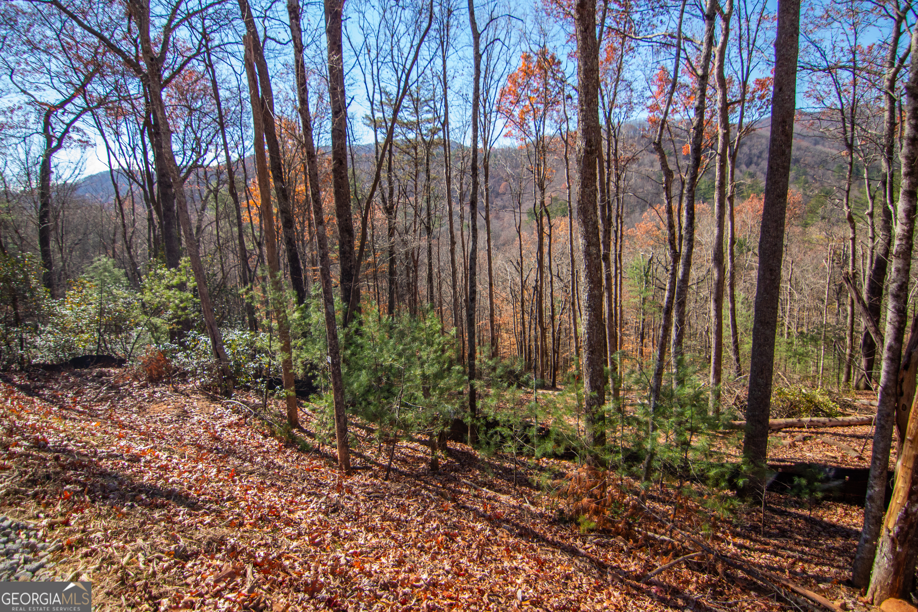 5 Clay's Way Cherry Log, GA 30522 - Photo 12 of 17 a view of a backyard