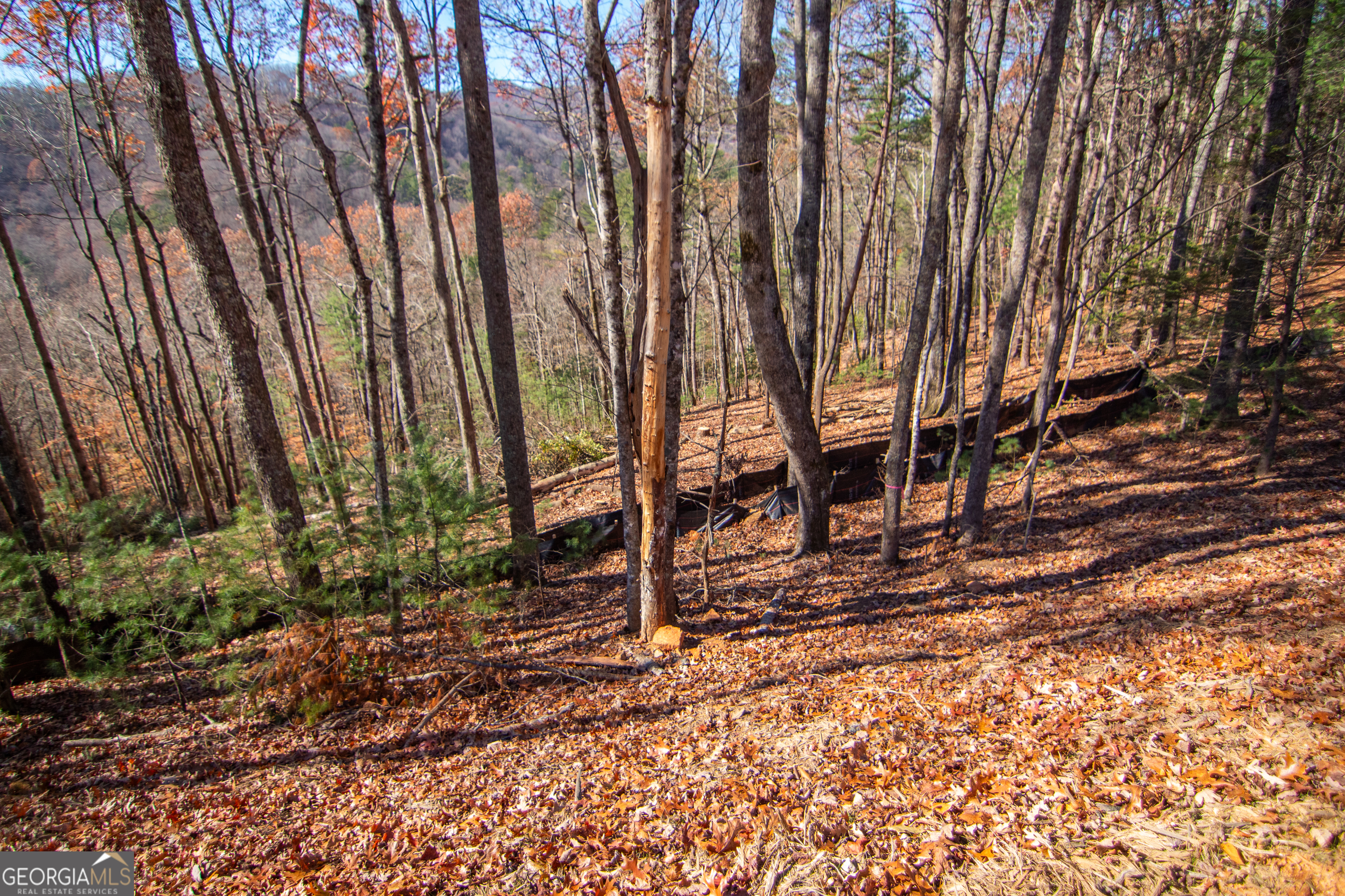 5 Clay's Way Cherry Log, GA 30522 - Photo 13 of 17 a backyard of a house with lots of green space and chair