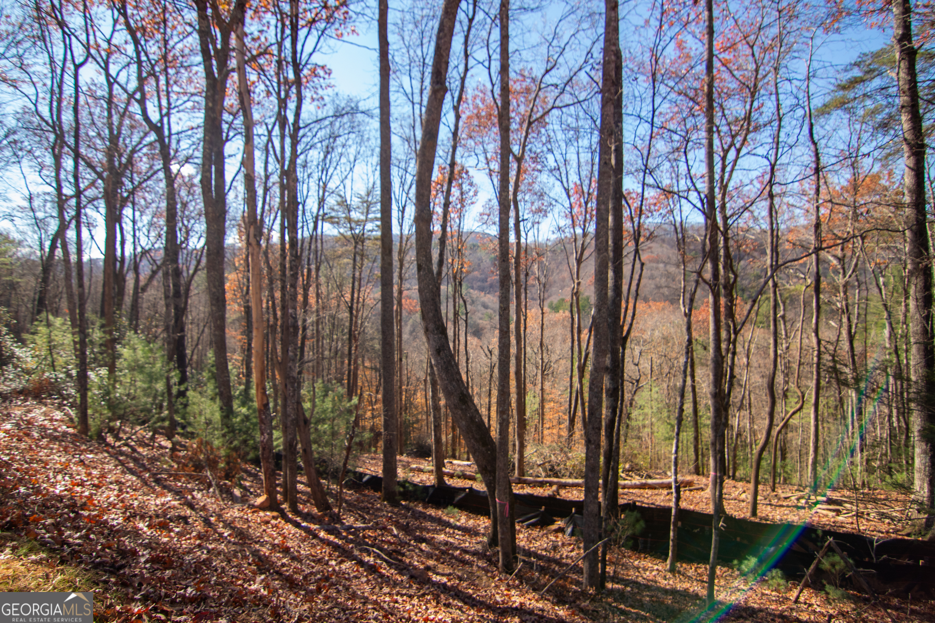 5 Clay's Way Cherry Log, GA 30522 - Photo 4 of 17 a view of outdoor space with lots of trees
