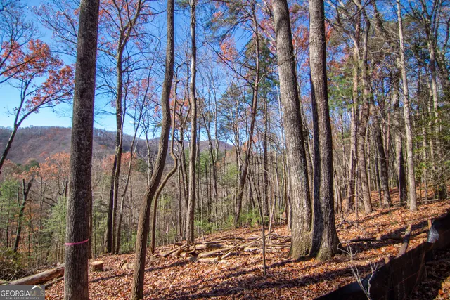 a view of a backyard of the house