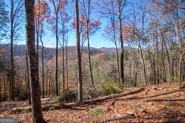 a view of a tree in front of a house