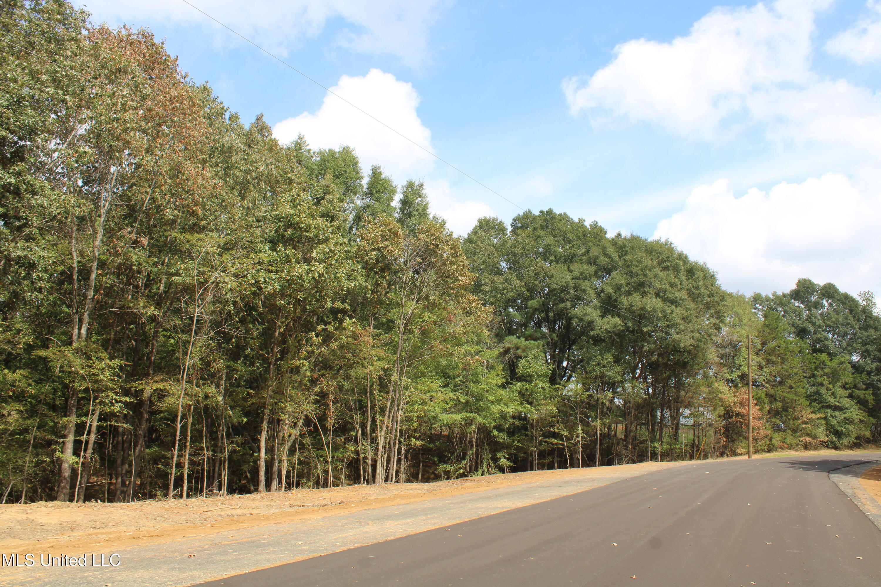 18 Hickory Hollow Road Coldwater, MS 38618 - Photo 19 of 70 IMG_6578