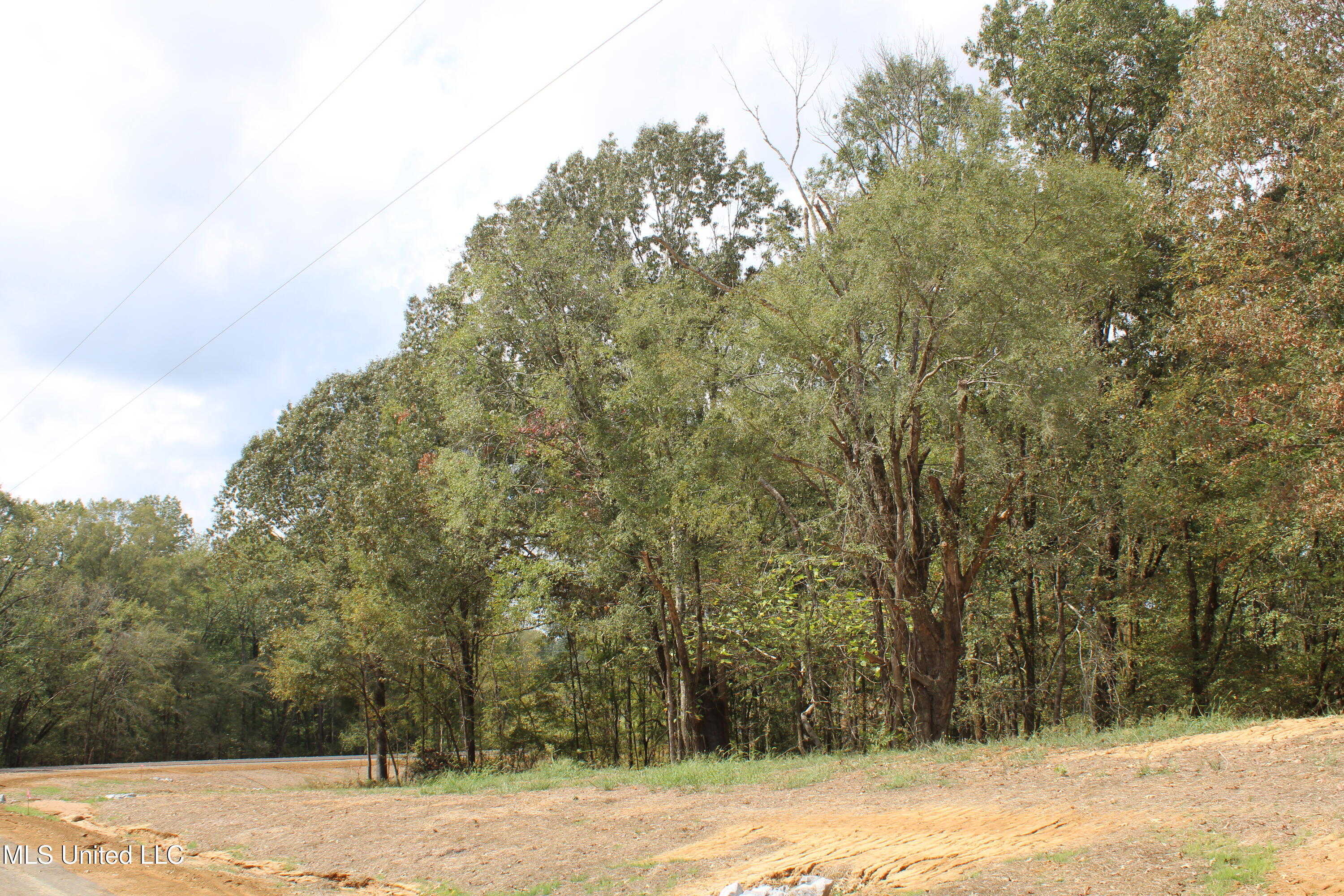 18 Hickory Hollow Road Coldwater, MS 38618 - Photo 27 of 70 IMG_6587