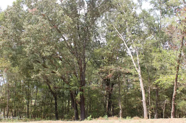 $115,000 | 18 Hickory Hollow Road, Coldwater, MS 38618