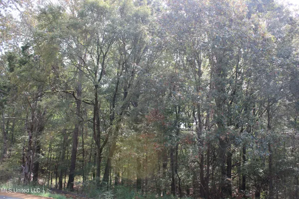 $115,000 | 18 Hickory Hollow Road, Coldwater, MS 38618