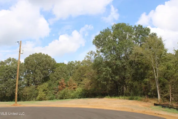 $115,000 | 18 Hickory Hollow Road, Coldwater, MS 38618