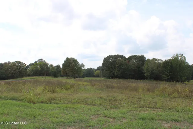 $115,000 | 18 Hickory Hollow Road, Coldwater, MS 38618