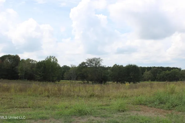 $115,000 | 18 Hickory Hollow Road, Coldwater, MS 38618