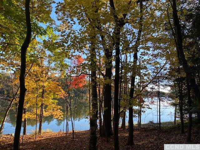 1258 Lakeview Road Copake, NY 12516 - Photo 1 of 13 not sure