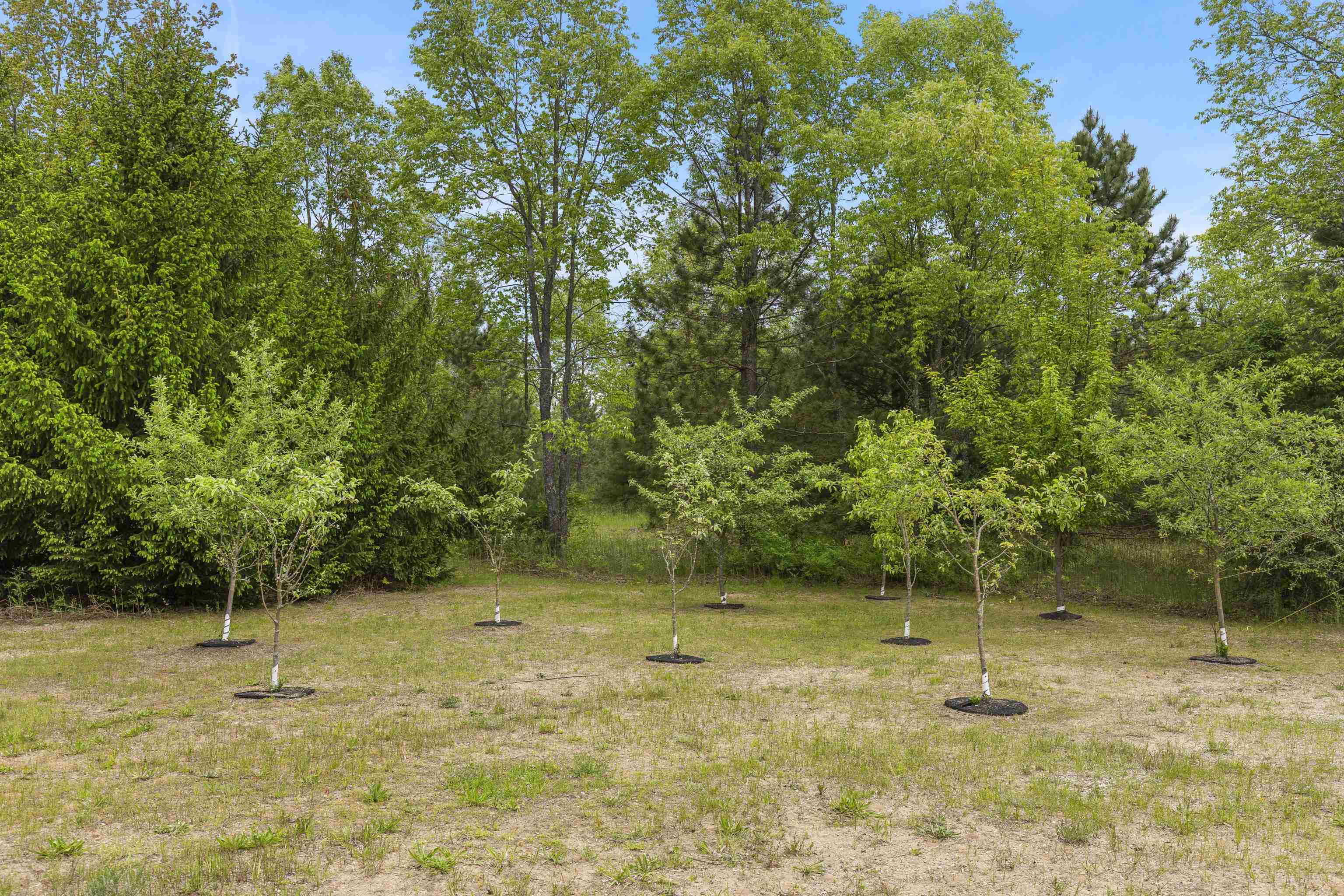 18090 Read Road Copemish, MI 49625 - Photo 59 of 63 Gallery Image 59