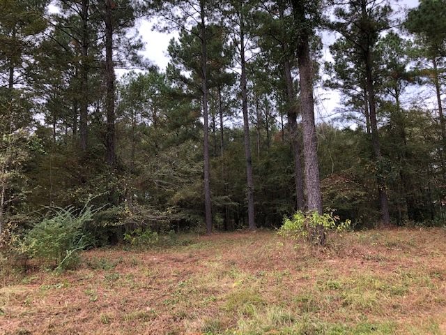 0 Cedar Drive Cochran, GA 31014 - Photo 11 of 11