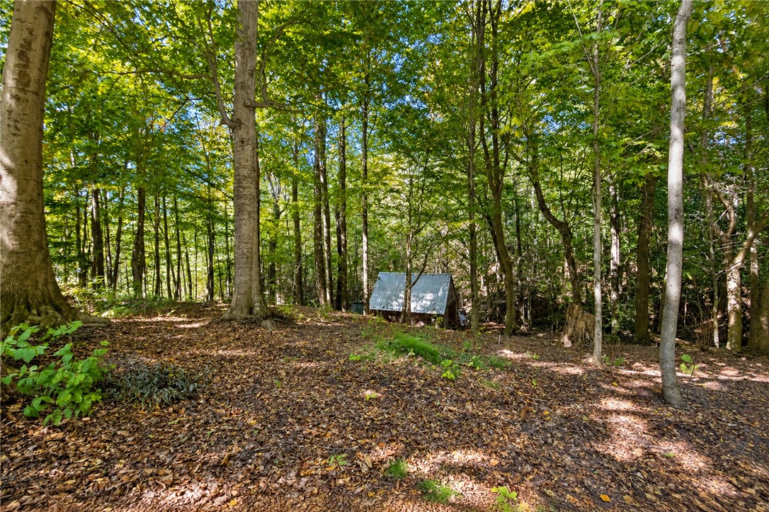 6708 Lake Bluff Road Huron, NY 14516 - Photo 11 of 41 woods