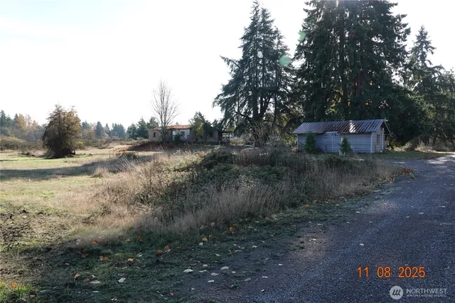 a view of a yard with a tree