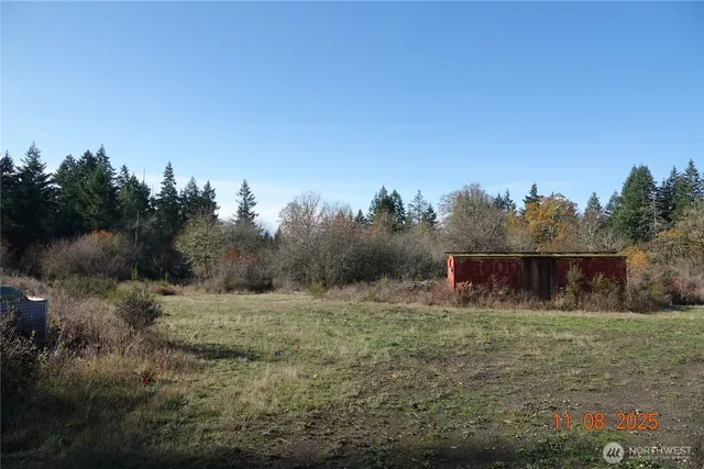 a view of a lot of trees and bushes