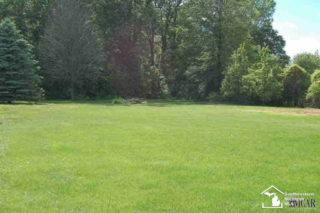 6850 Bacon Road Petersburg, MI 49270 - Photo 3 of 17 21302202-2.JPG
