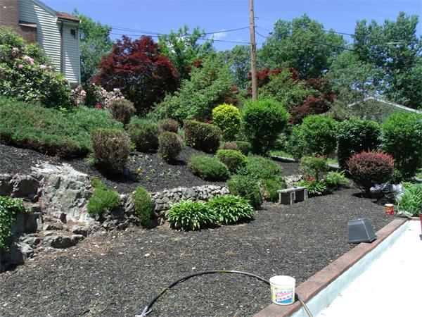 97 Glenellen Road Boston, MA 02132 - Photo 14 of 15 Gallery Image 14